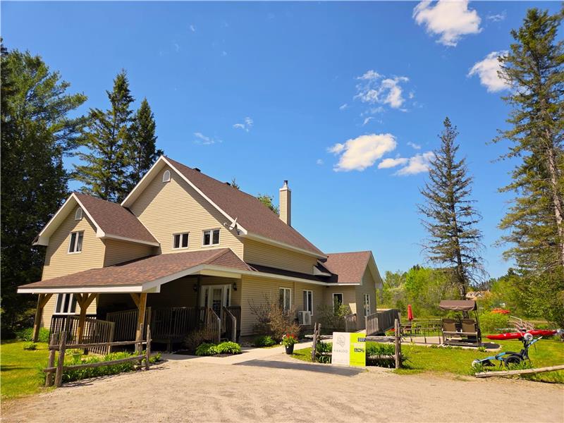 la Mésange D'Olivier