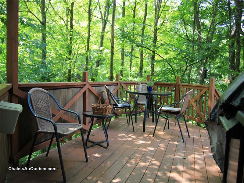 Le chalet bleu en location pour saison d'hiver 2026-2027 $1800/mois tout inclus
