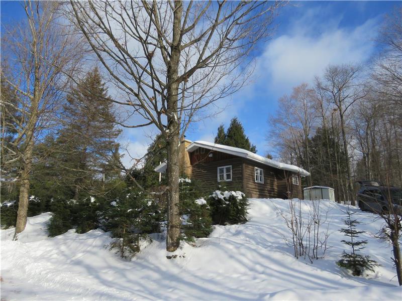 Log cabin, 1h from Mtl, access to the lake, fireplace, kayaks, air conditioning, taxe included
