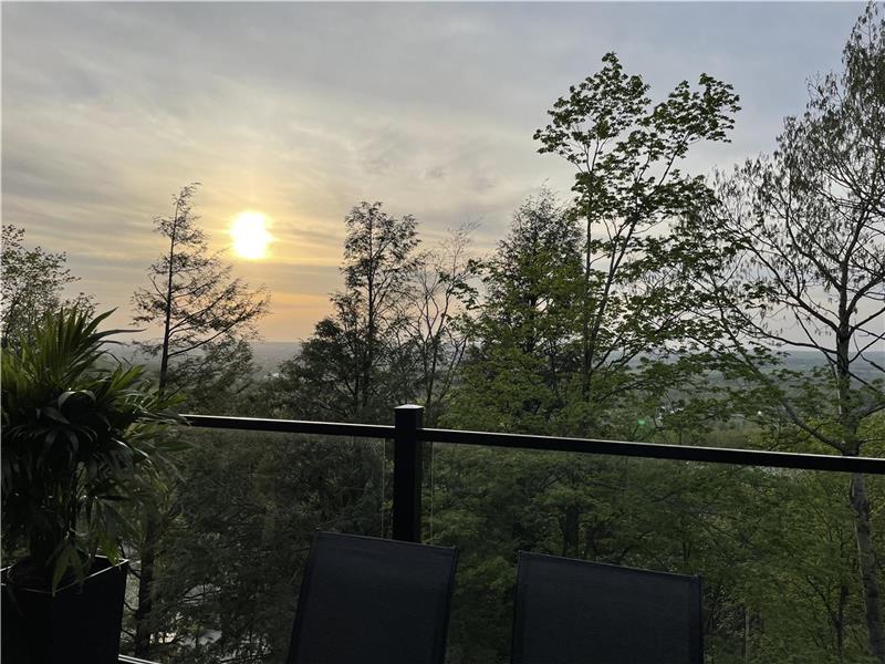 Autumn on Display! Your condo with stunning views of vibrant fall colors, available October 1st!