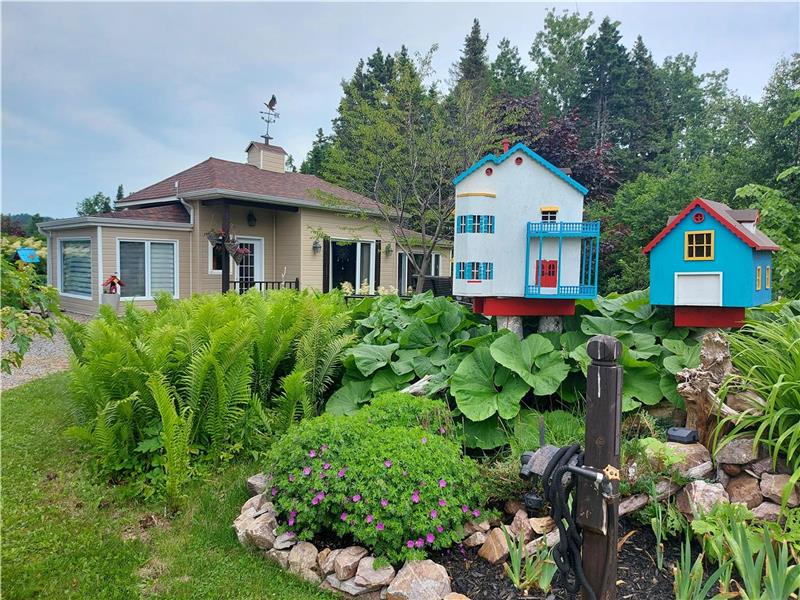 Aux Mille et un rêves