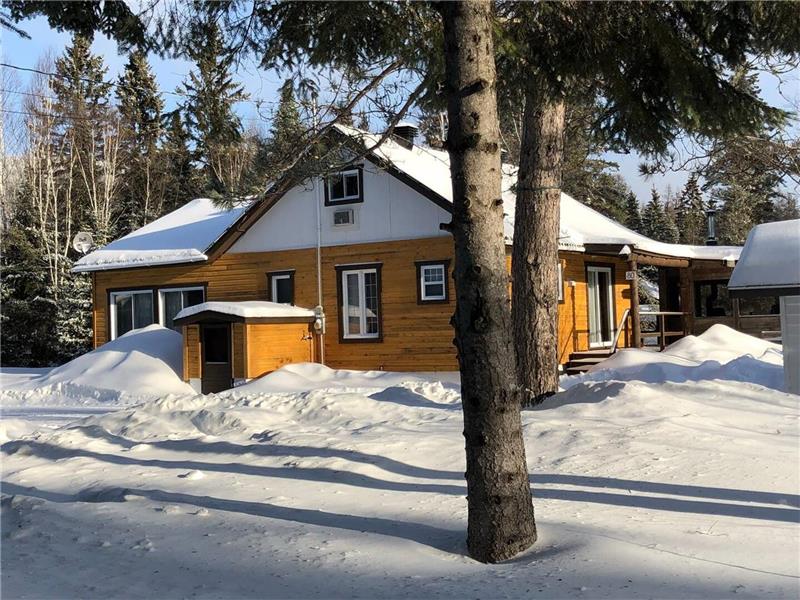 Castor near the river