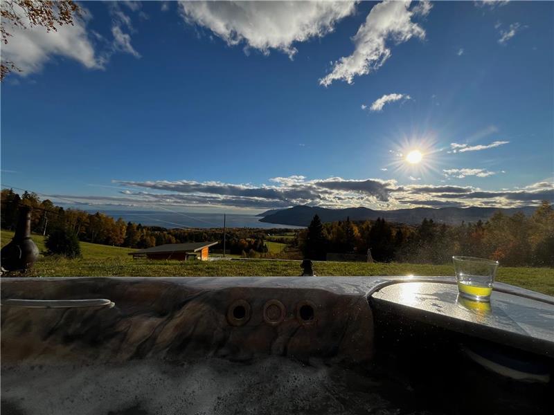 Ronovated cottage with spectacular views, pool and hot tub