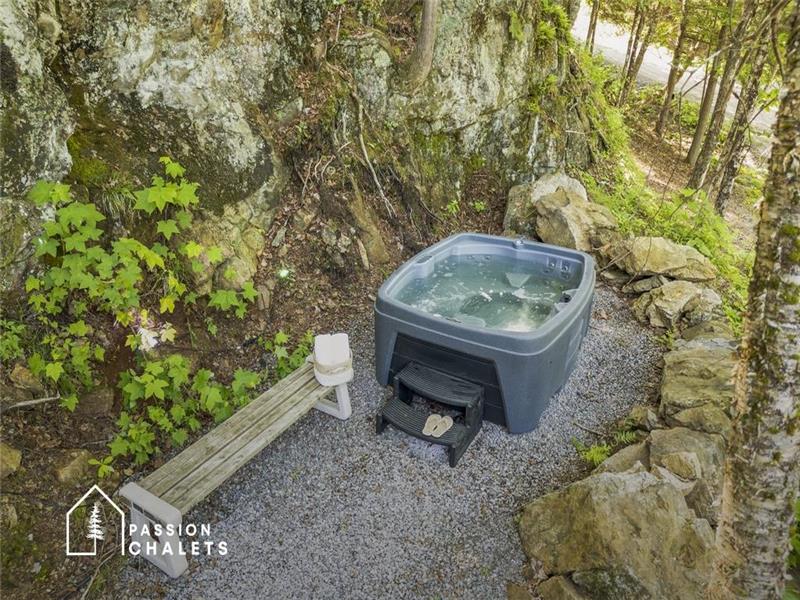 * PASSION CHALETS * | L'ORIGNAL |  SPA  NATURE  MODERN  FIREPLACE  AIR CONDITIONING  HEATED FLOORS