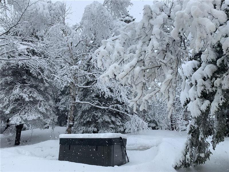 Melancy Cottage - Lakefront Manitou/SPA/SKI Hills/Mont-Blanc/Mont-Tremblant (Monthly rentals)