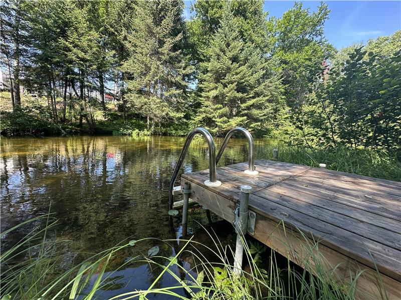Forest cabin with swimmable stream, private island, ATV trails, and indoor fireplace