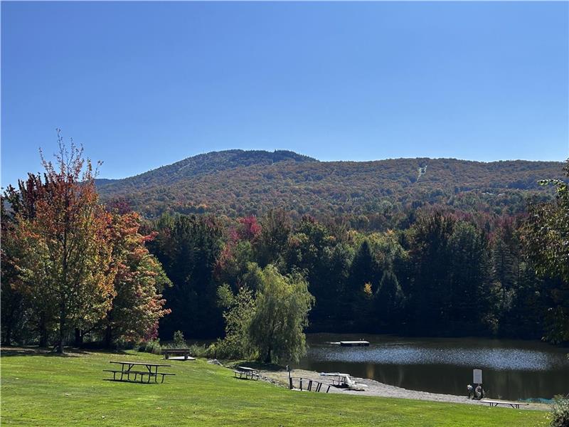 Condo-chalet rustique au bord d'un lac avec vue sur le Mont Sutton