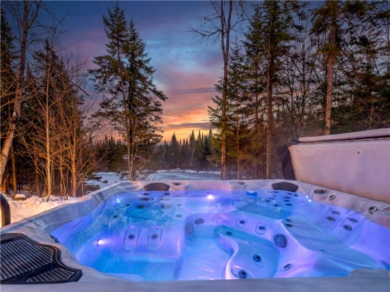 Initial | Papillon jaune |