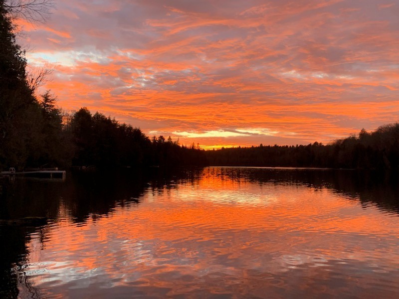Waterfront Cottage in Gore