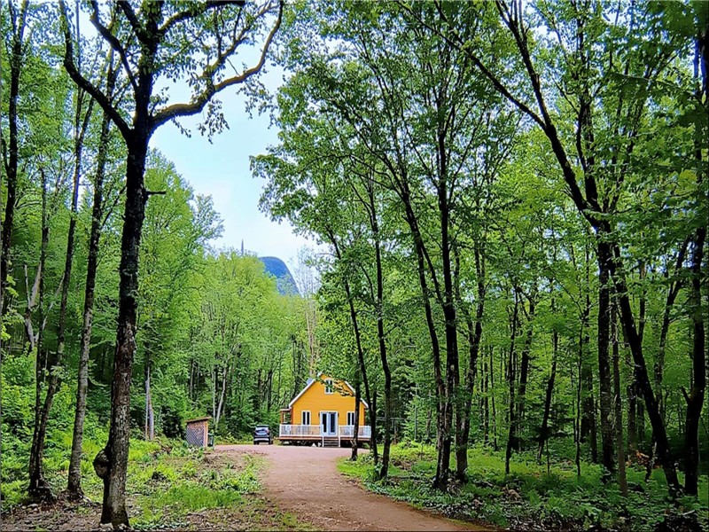 Chalet de la Roche Plate / Vallée Bras du Nord / Rivière de la roche plate