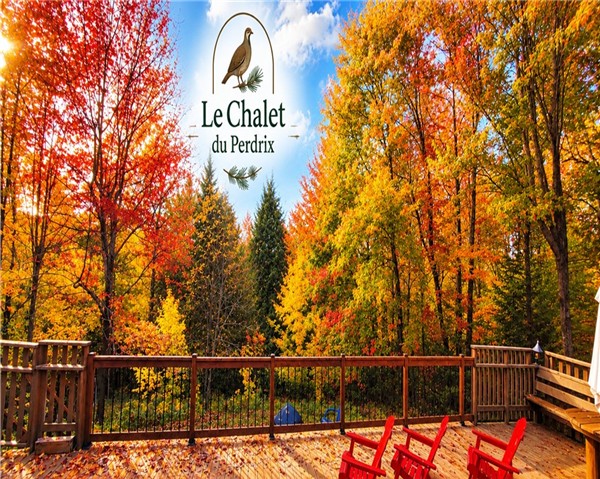 CHALET Sainte-Anne-des-Lacs  |Retraite nature & télétravail | 3 chambres | Foyer |BBQ | LAURENTIDES|
