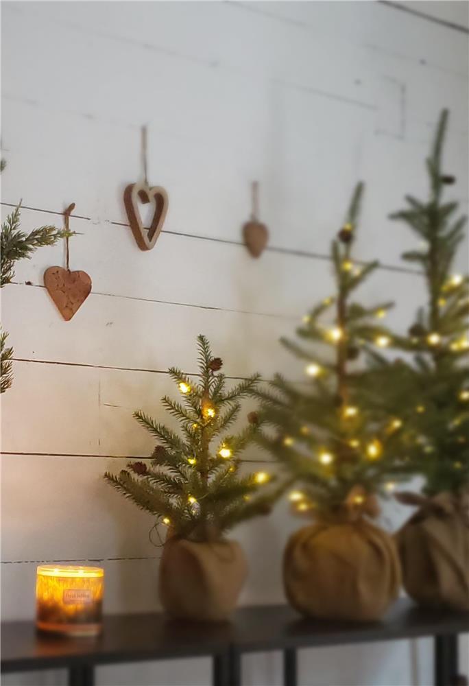 LA CHOUETTE BLEUE, EAU VIVE, MONTAGNES