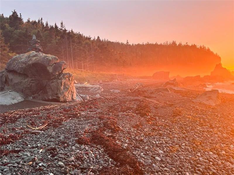 Cottage Cap à la Baleine