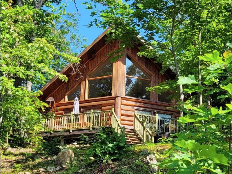 Aigle à Tête Blnche