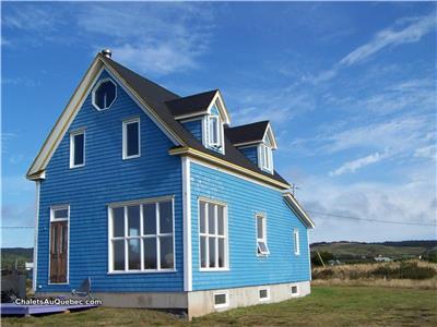 the blue house