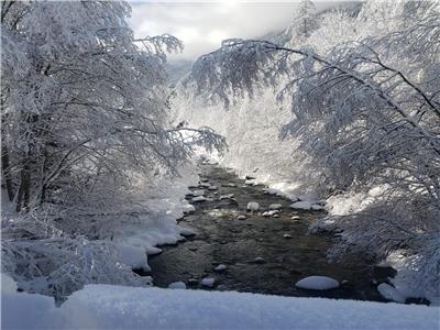 Hidden getaway, North Side of Mont Tremblant - Affordable
