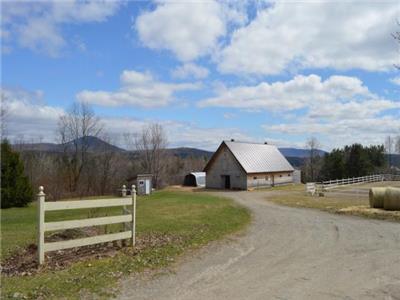60 ACRES OF NATURE, SUPERB  FAMILY-FRIENDLY HOUSE, VIEWS, HORSES, FOREST TRAILS