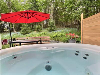 Chalet  Mont-Tremblant avec spa (animaux accepts)