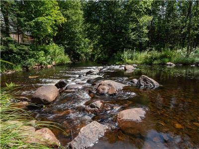 Chalet La brise de la rivire surrounded by nature