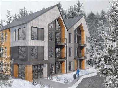 New condo for rent on the mountain at Owl's Head - Ski-in/Ski-out