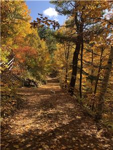 Enjoy the fall colors and great autumn weather with your furry friends