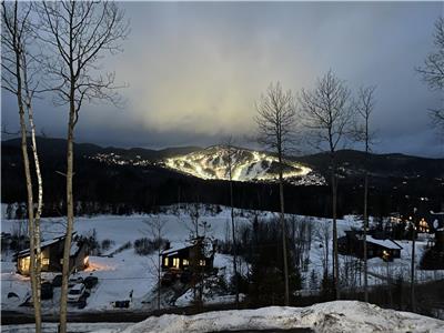 Le Chalet perch. Spa, Ski, Lac, Billard.