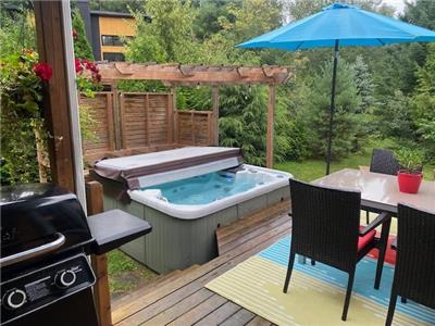 Charmante maison avec jacuzzi au bord de l'eau