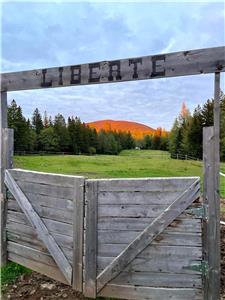 The Madison - Friesian Horses Ranch - Megantic