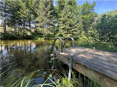 Chalet en forêt avec ruisseau baignable, île privée, sentiers VTT et foyer intérieur