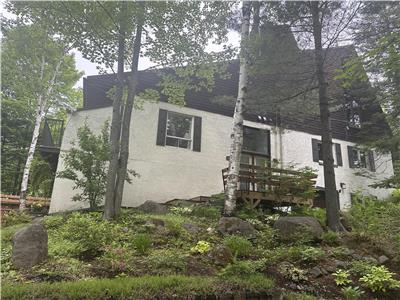 Maison de ville en forêt