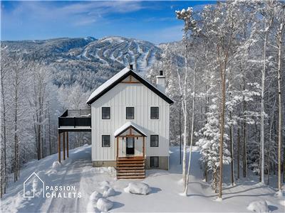 * PASSION CHALETS * | LE FORT | PRIVATE SPA - SKI - ARCADE - POOL TABLE - BBQ - FIREPLACES