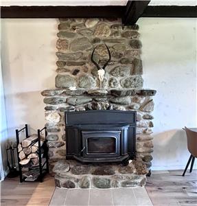 Rustic lakeside condo-chalet with Mont Sutton views