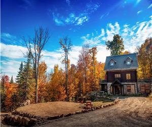 Chalet de L'Ours en bois rond